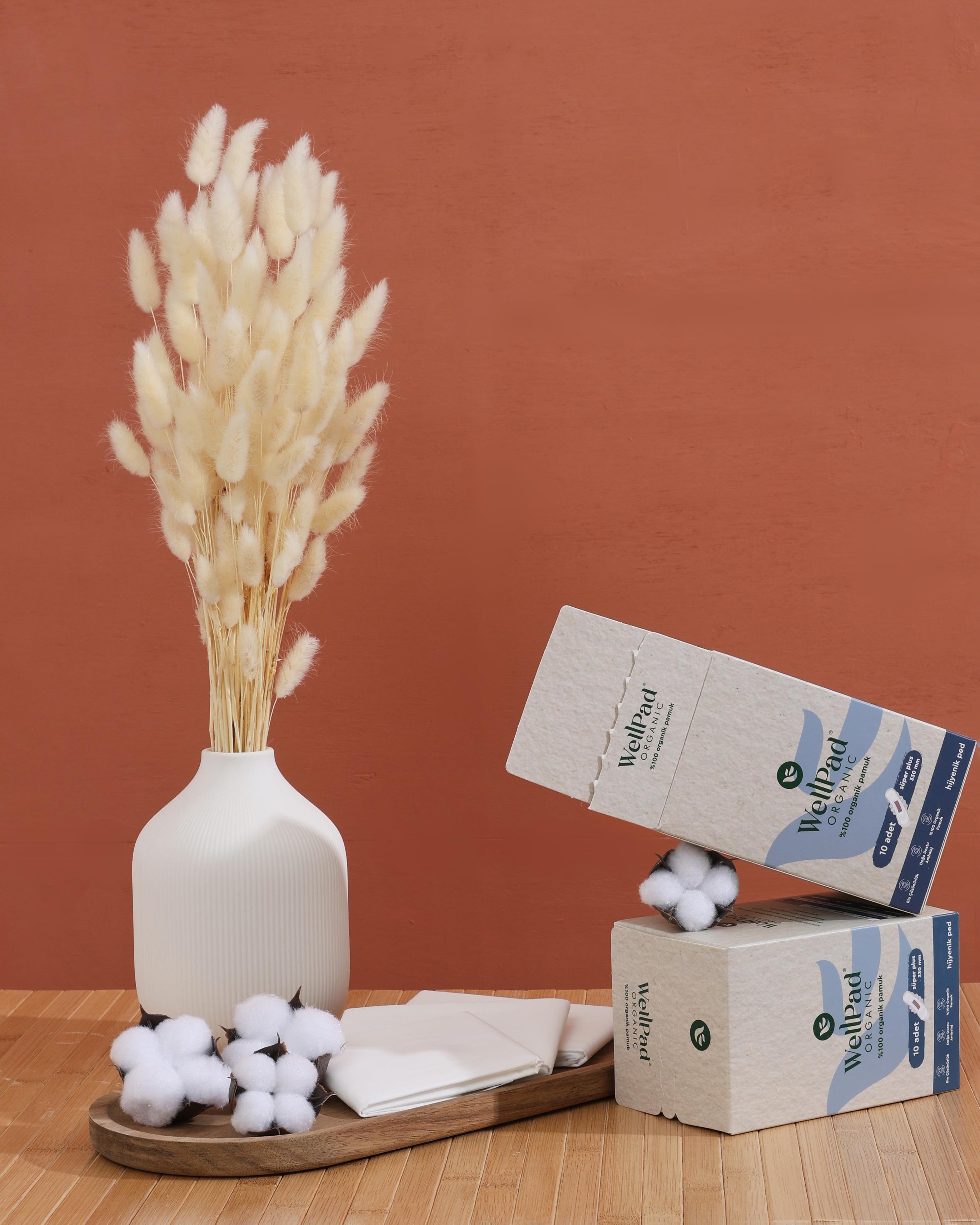 WellPad Organik Hijyenik Ped - Gece 10'lu