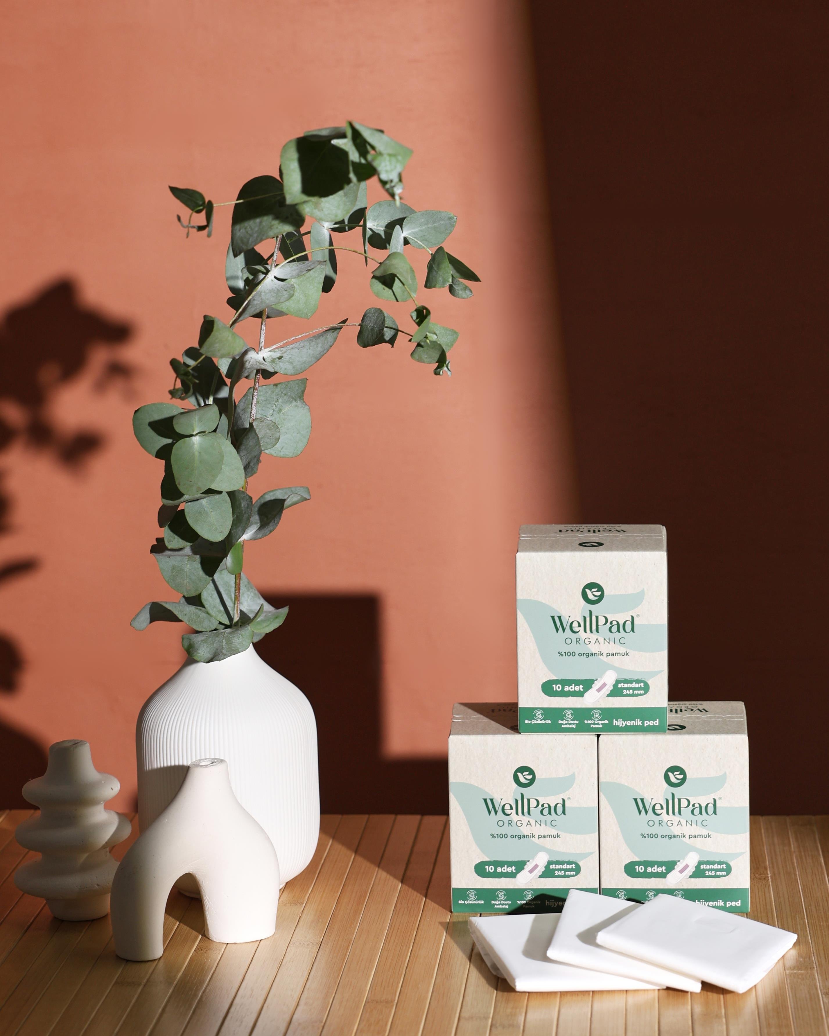 WellPad Organik Hijyenik Ped - Normal 10'lu