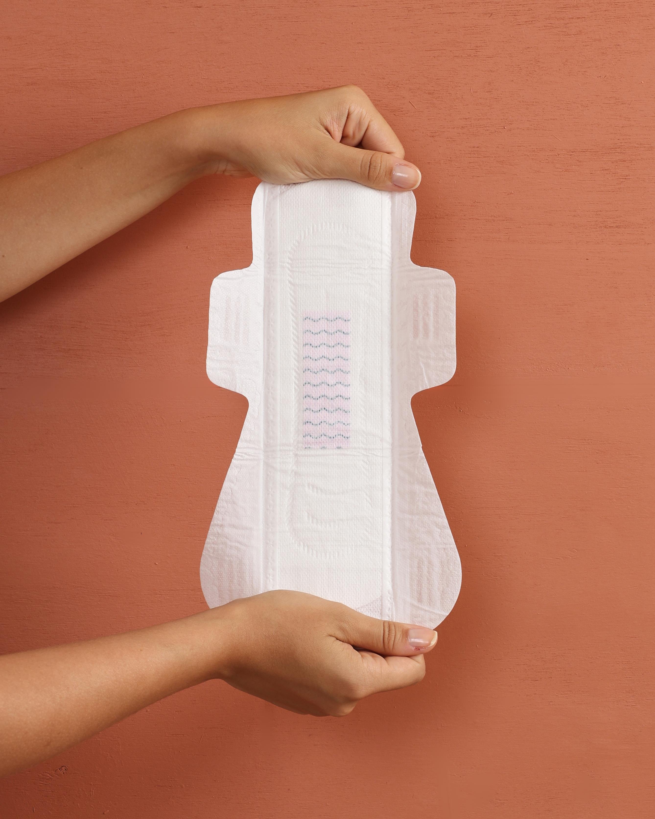 WellPad Organik Hijyenik Ped - Uzun 10'lu