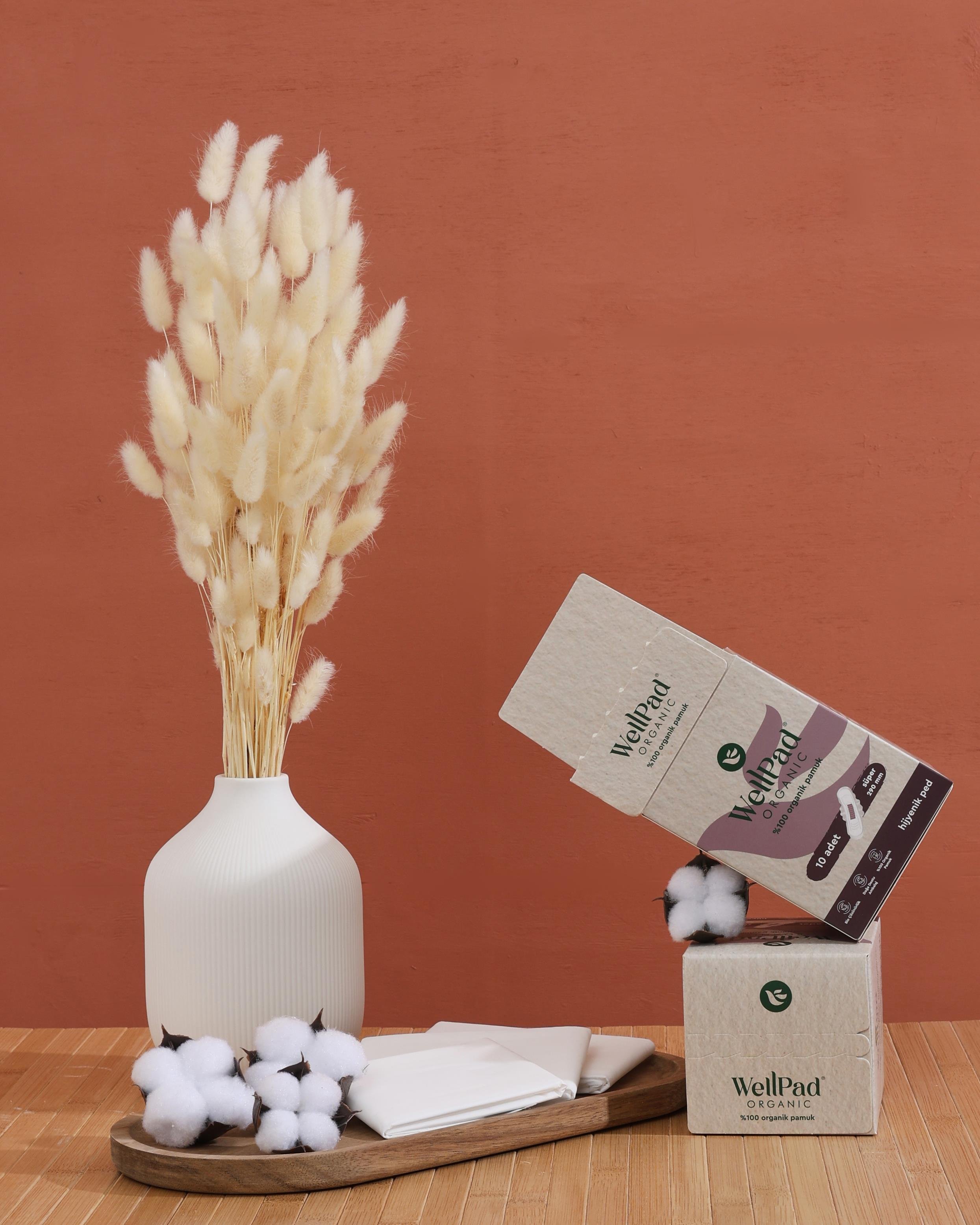 WellPad Organik Hijyenik Ped - Uzun 10'lu