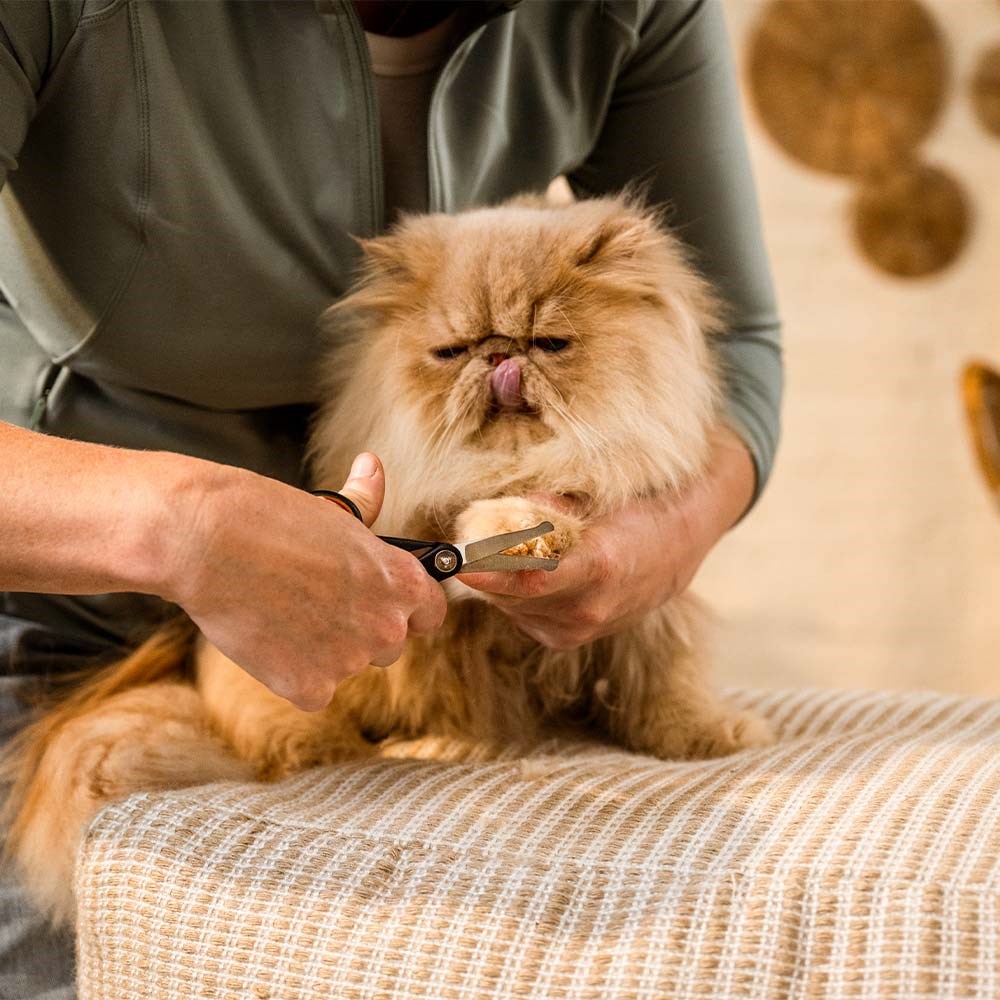 Fiskars Kedi ve Köpek Detaylı Tıraş MakasıFiskars