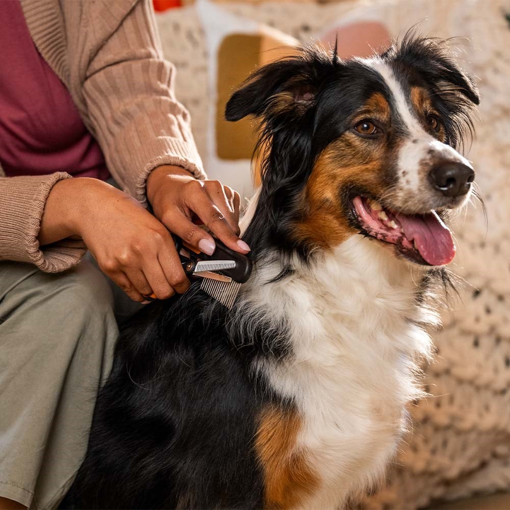 Fiskars Kedi ve Köpek Tüy İnceltme ve Tıraş MakasıFiskars