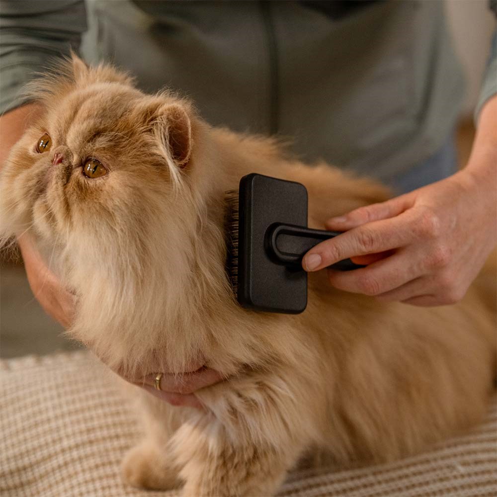 Fiskars Kedi ve Köpek Tüy Toplayıcı Slicker FırçaFiskars