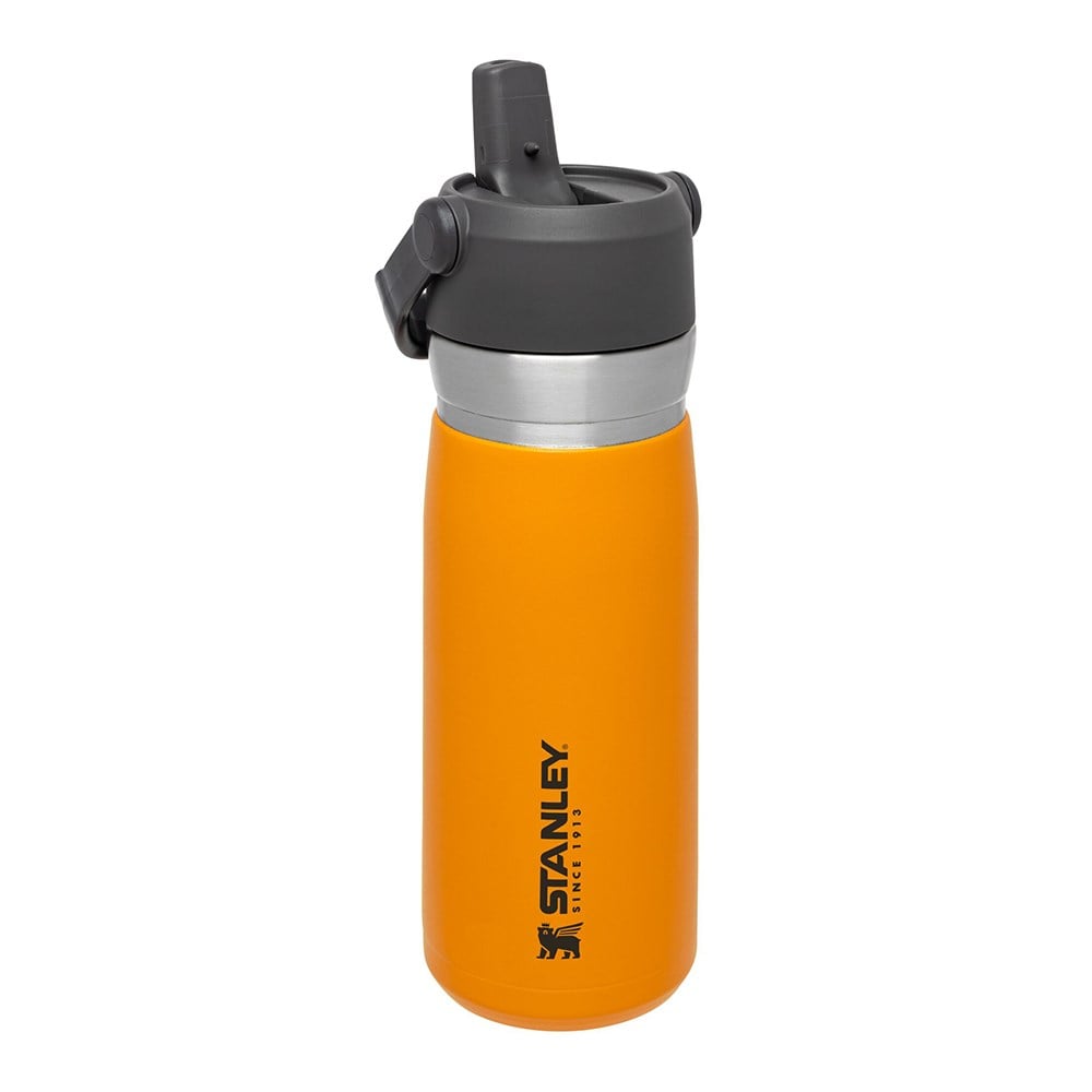 Stanley Go Iceflow Flip Straw Su Termosu 0,65 L TuruncuStanley
