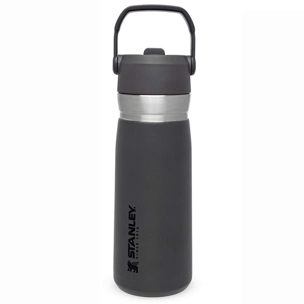 Stanley Go Iceflow Flip Straw Su Termosu 0,65 L FümeStanley