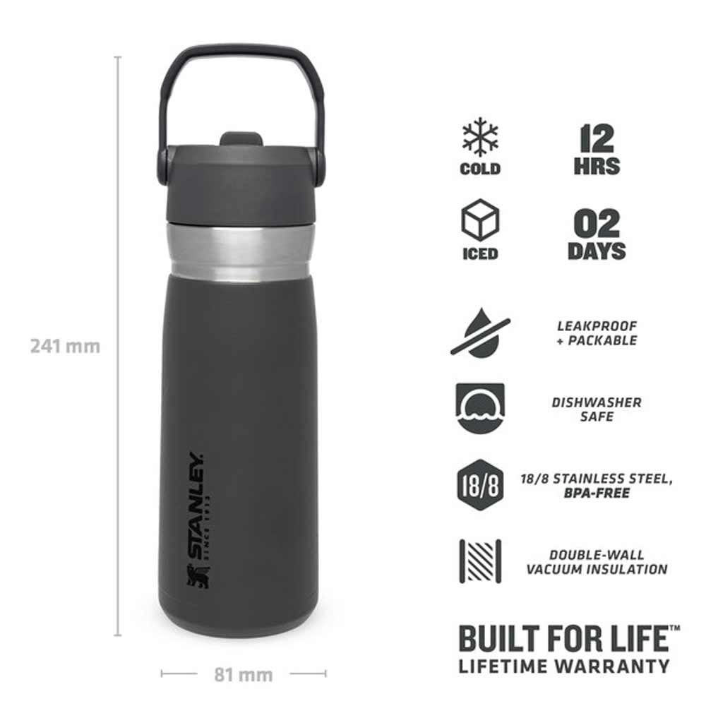 Stanley Go Iceflow Flip Straw Su Termosu 0,65 L FümeStanley