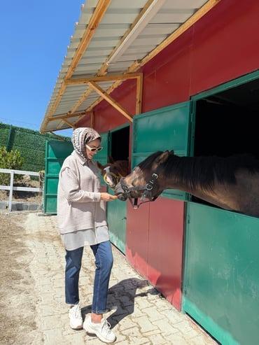 MOODBASİC FİLE DETAYLI GÖMLEK MB11.299 Bej