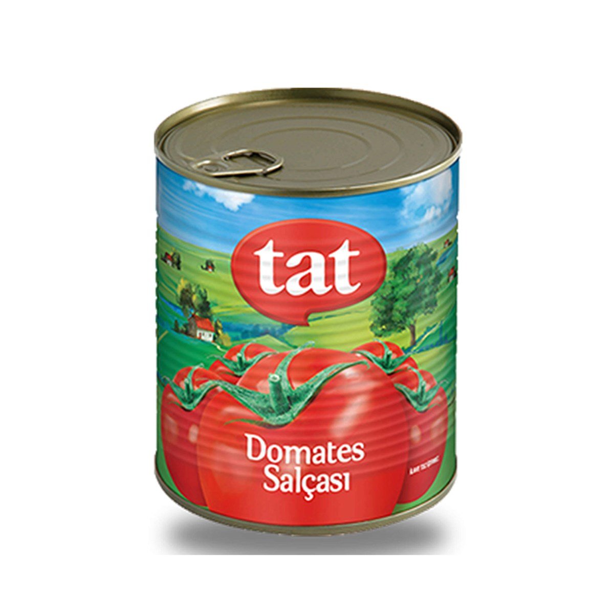 Tat Domates Salçası Teneke 830 gr