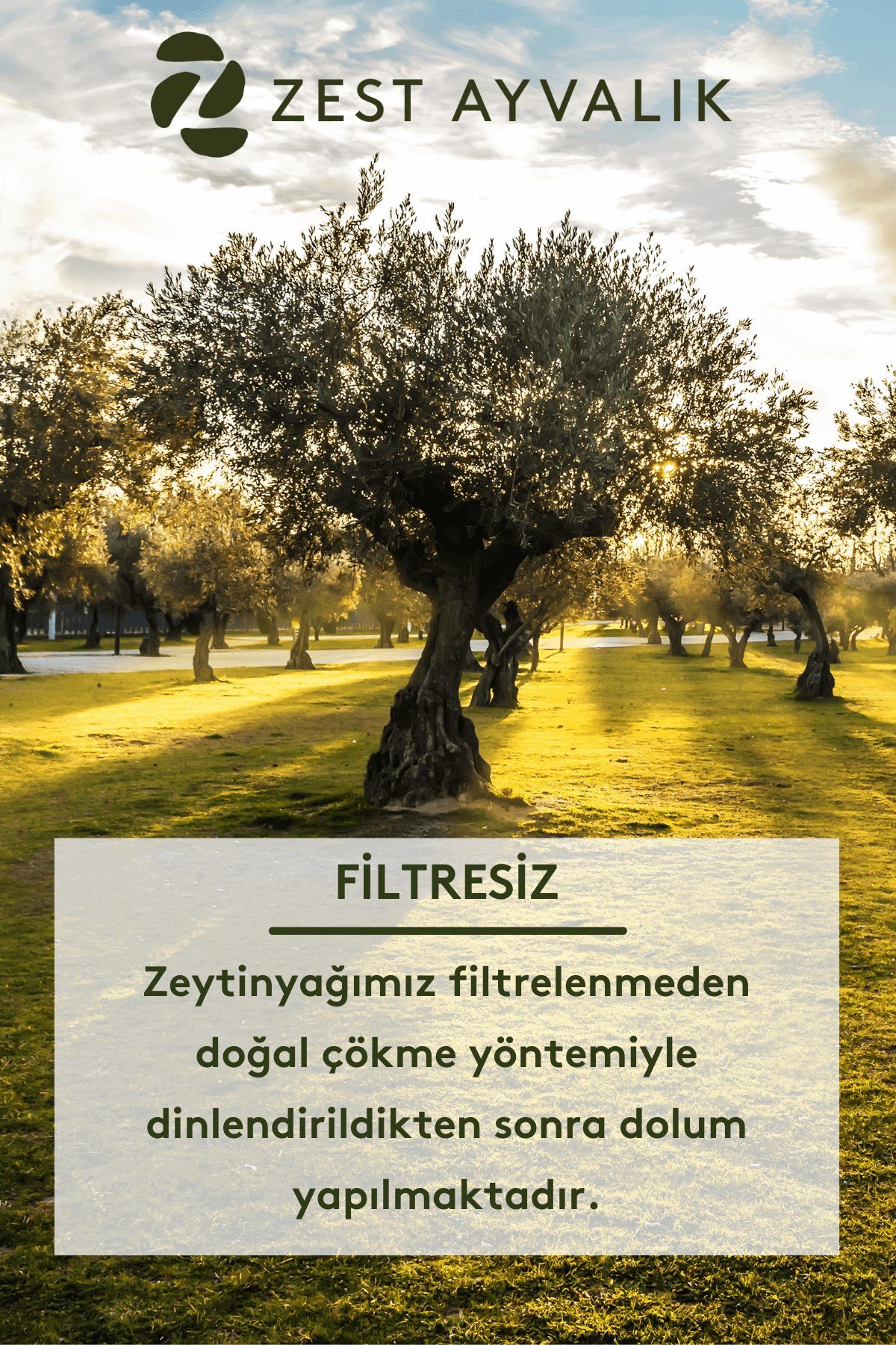 ZEST AYVALIK Cold Extracted Extra Virgin Olive Oil (EVOO) 5 L Family Size Tin Can