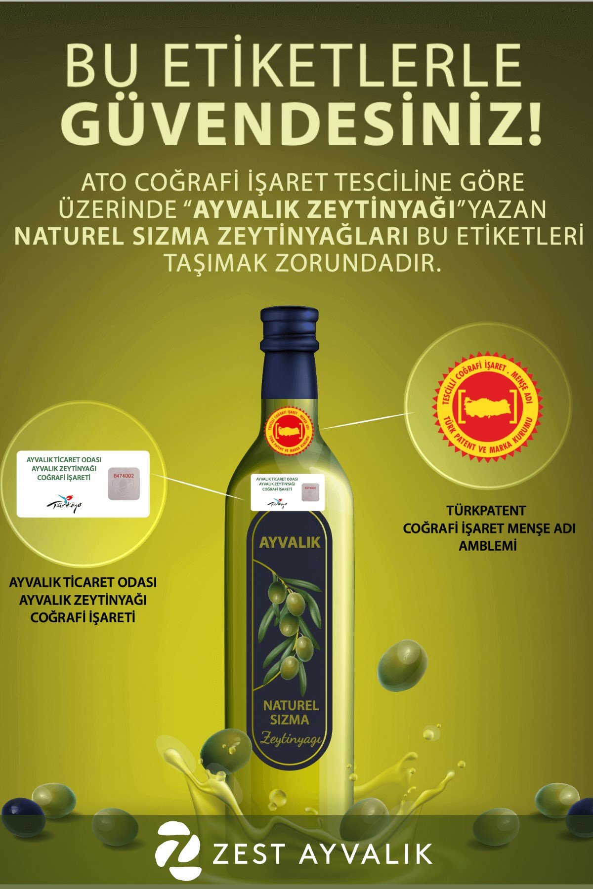 Zest Ayvalık Erken Hasat Soğuk Sıkım Filtresiz Gerçek Ayvalık Naturel Sızma Zeytinyağı Yağdanlık Cam Şişe  750 mL Kolisi 6'lı (6x750 mL)