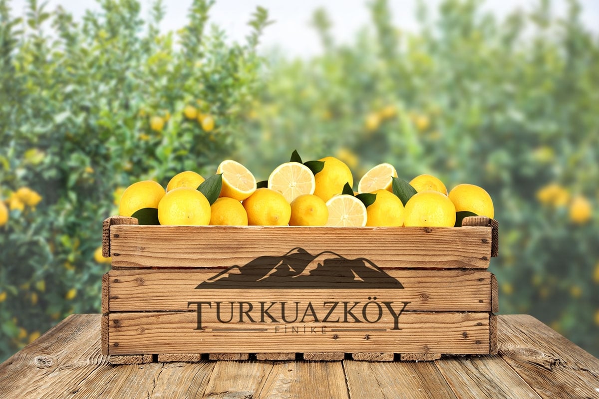 Kırmızı Limon