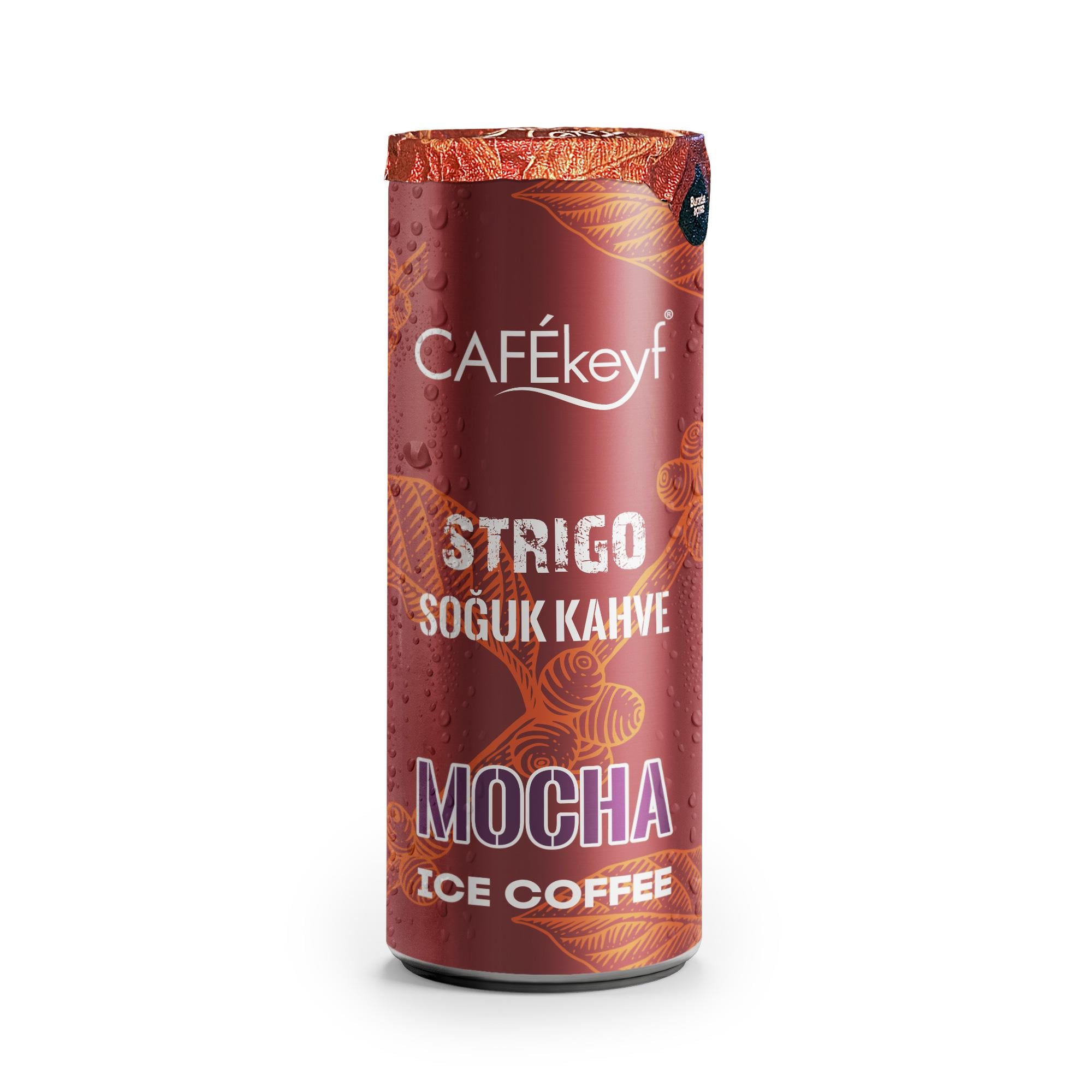 CAFEKEYF STRIGO SOĞUK KAHVE MOCHA 250 ML