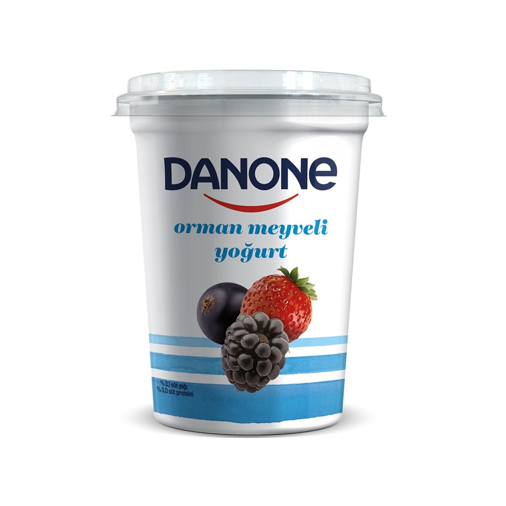 DANONE MEYVELİ YOĞURT 450 GR ORMAN MEYVELİ 