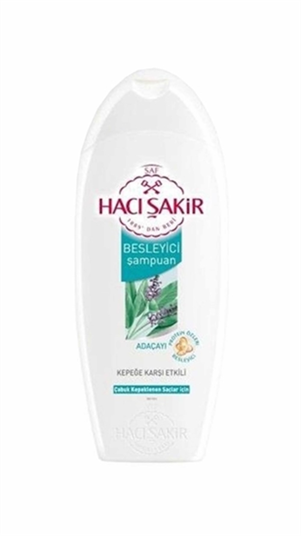 HACIŞAKİR ŞAMP. ADAÇAYI