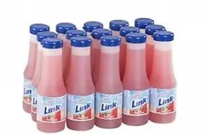 LİNK 200 ML ÇİLEK KOLİ 15 Lİ