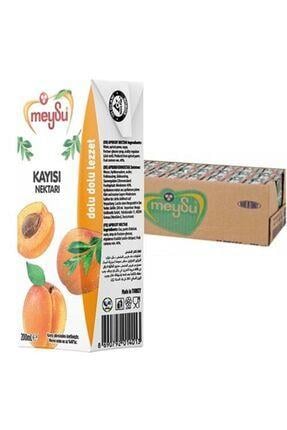 MEYSU 200 ML NEKTAR KAYISI
