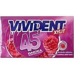 VİVİDENT 45 DAKİKA AHUDUDU 26GR