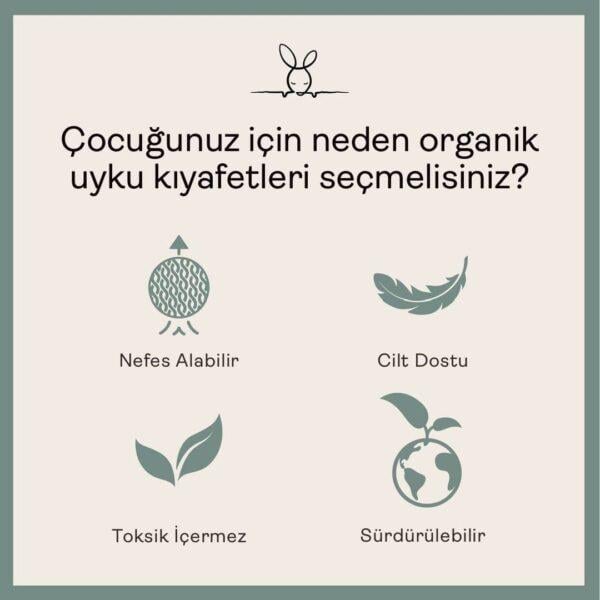 2.0 TOG Organik Pamuklu 2 Parça Pijama Takımı / Dragonflies
