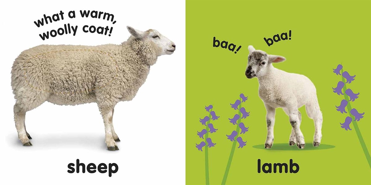 Baby Touch and Feel - Farm Animals