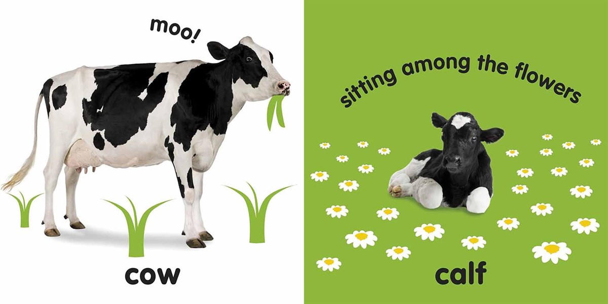 Baby Touch and Feel - Farm Animals
