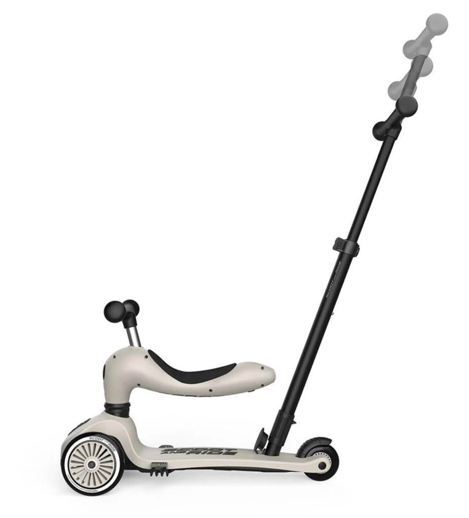 Scoot and Ride Push and Go Ebeveyn Kontrollü Çocuk Scooter Ash