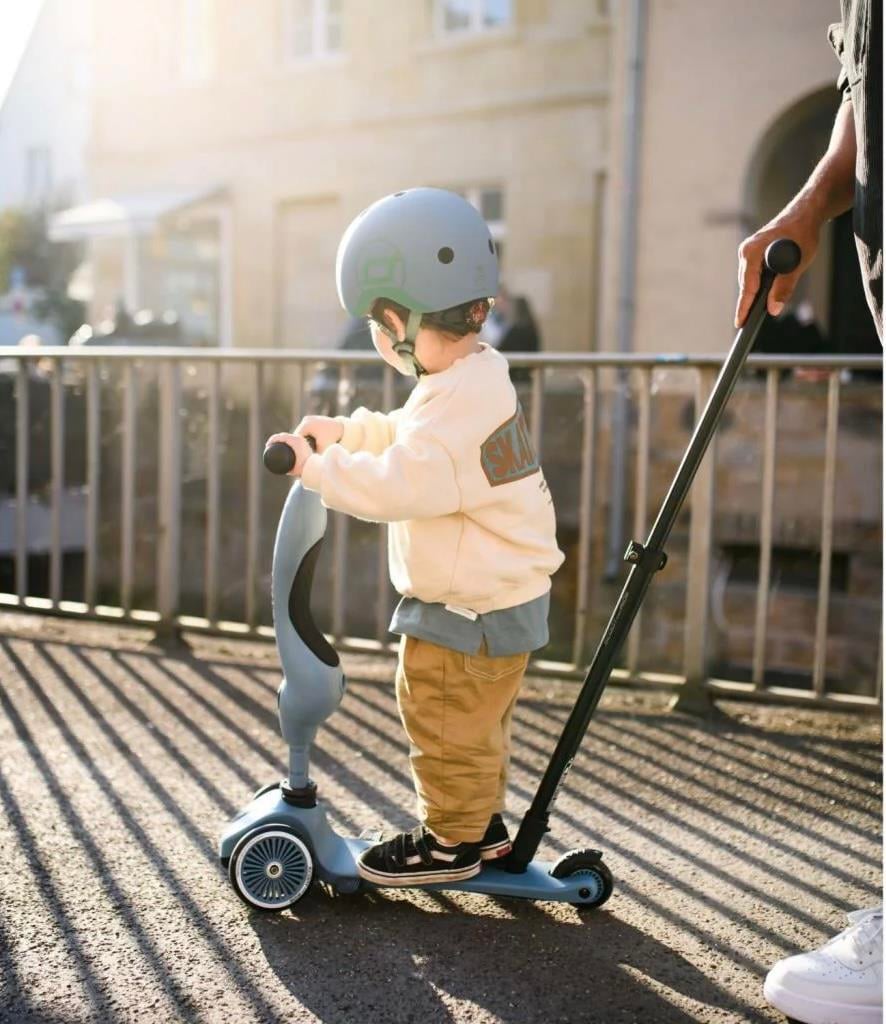 Scoot and Ride Push and Go Ebeveyn Kontrollü Çocuk Scooter Steel 