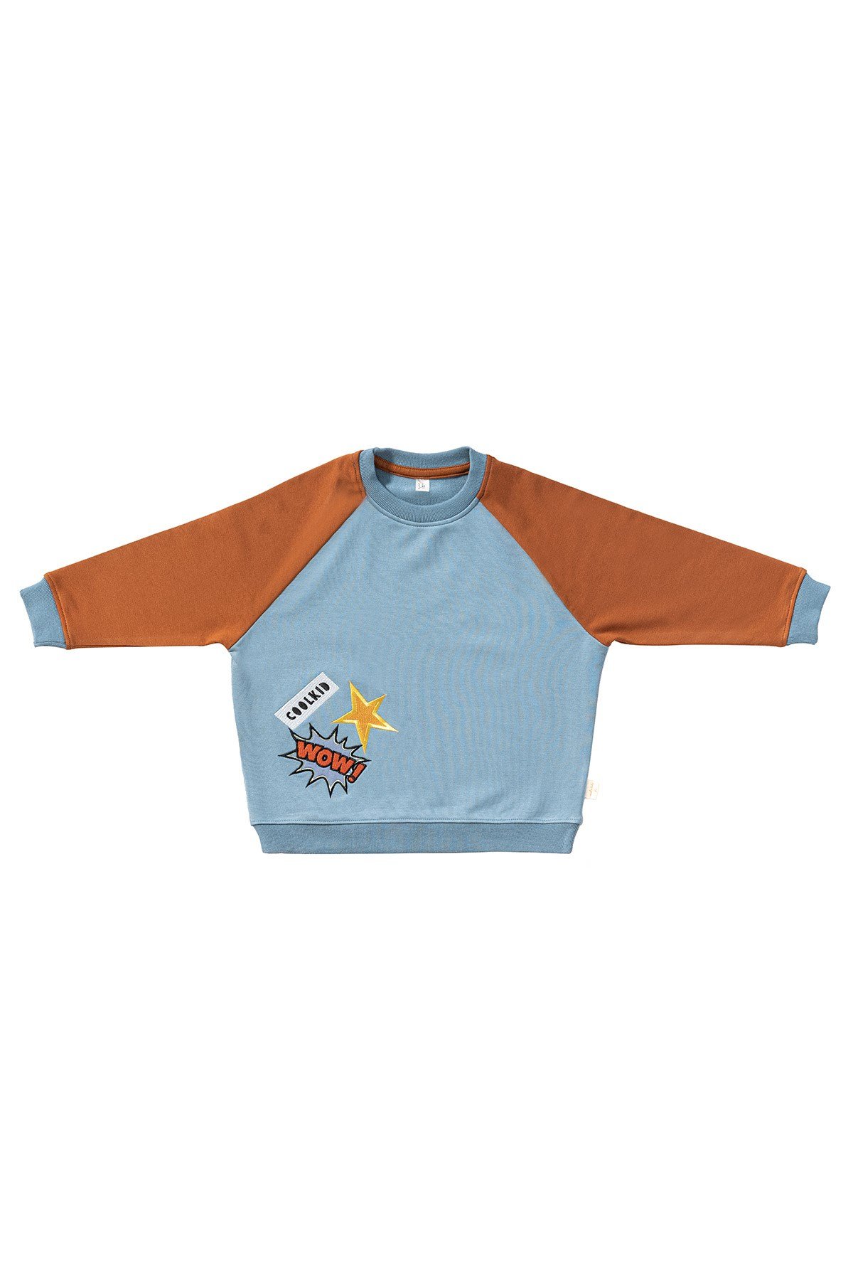 Colorblock Nakış Detaylı Sweatshirt - Petrol