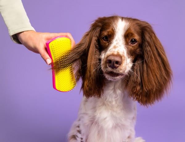 Tangle Teezer Pet Teezer Deshedding Grooming Brush Large 