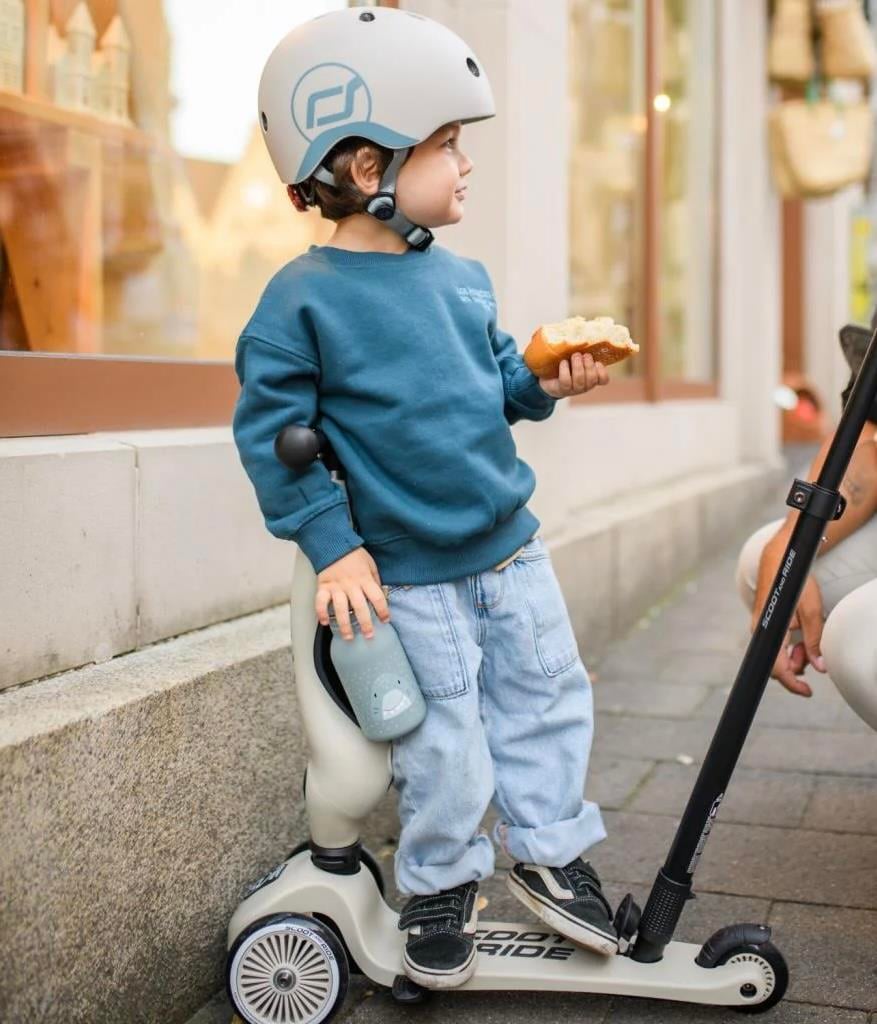 Scoot and Ride Push and Go Ebeveyn Kontrollü Çocuk Scooter Ash