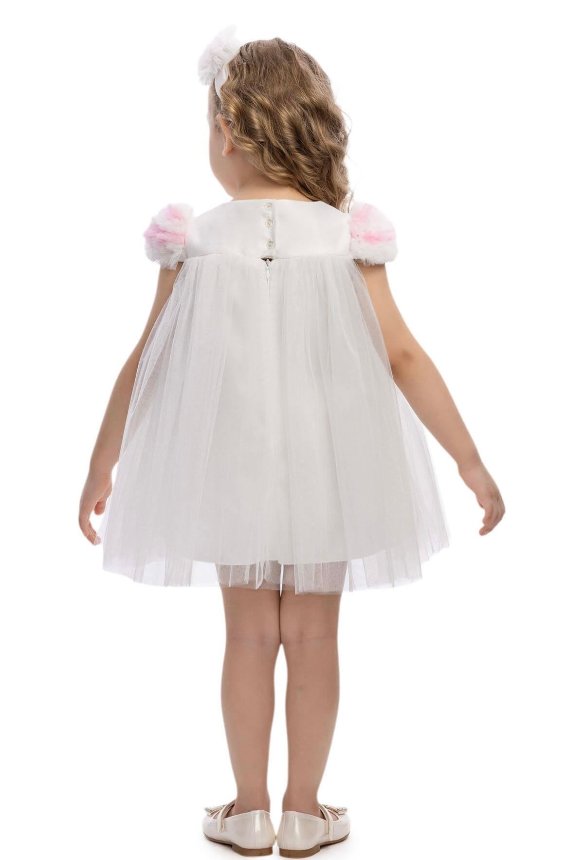 Butterflies Baby Dress