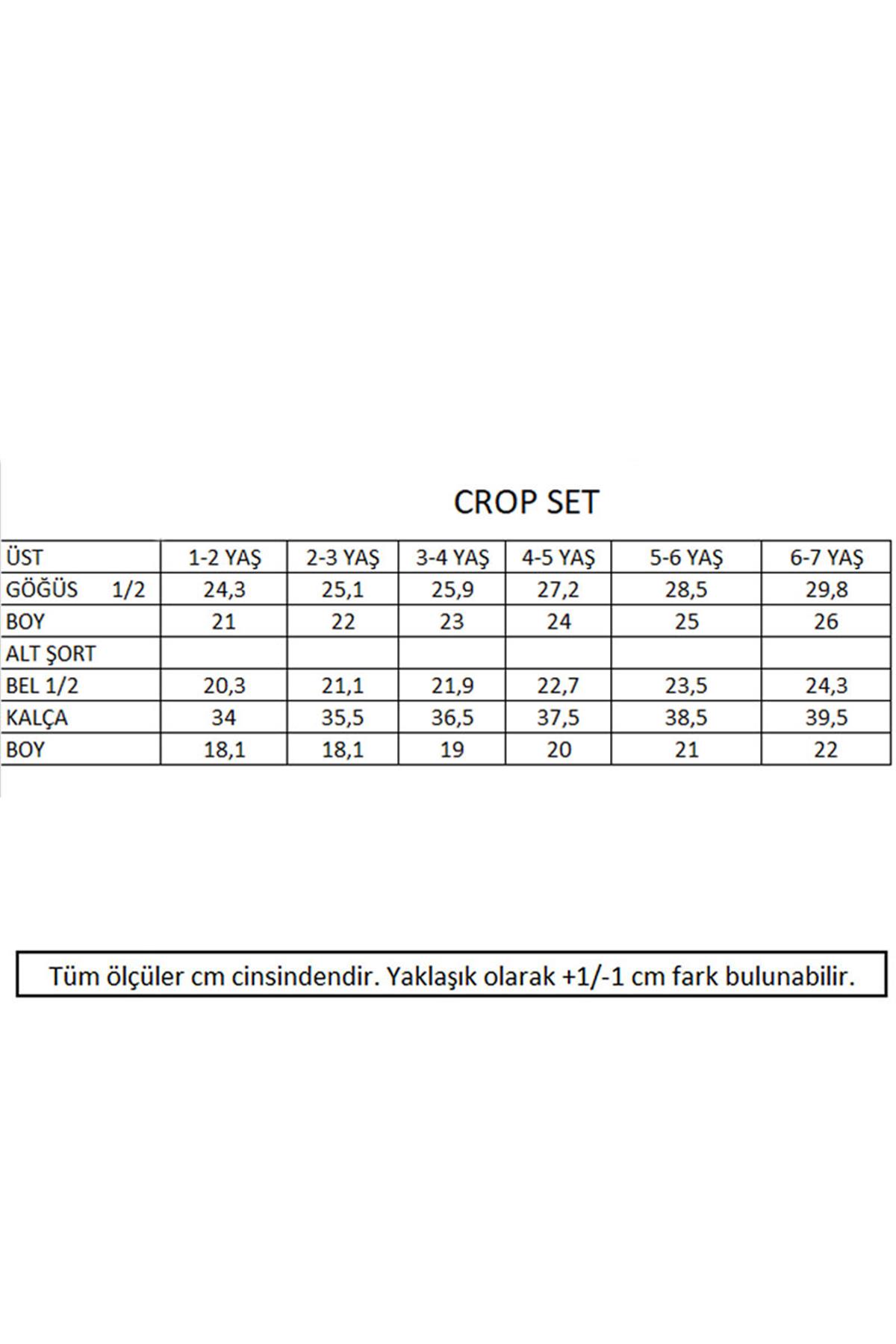 Kiraz Nakışlı Crop Fitilli Takım - Lila