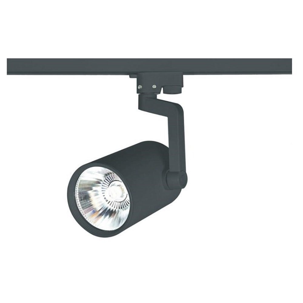 30W Led Ray CASTOR Spot Armatür