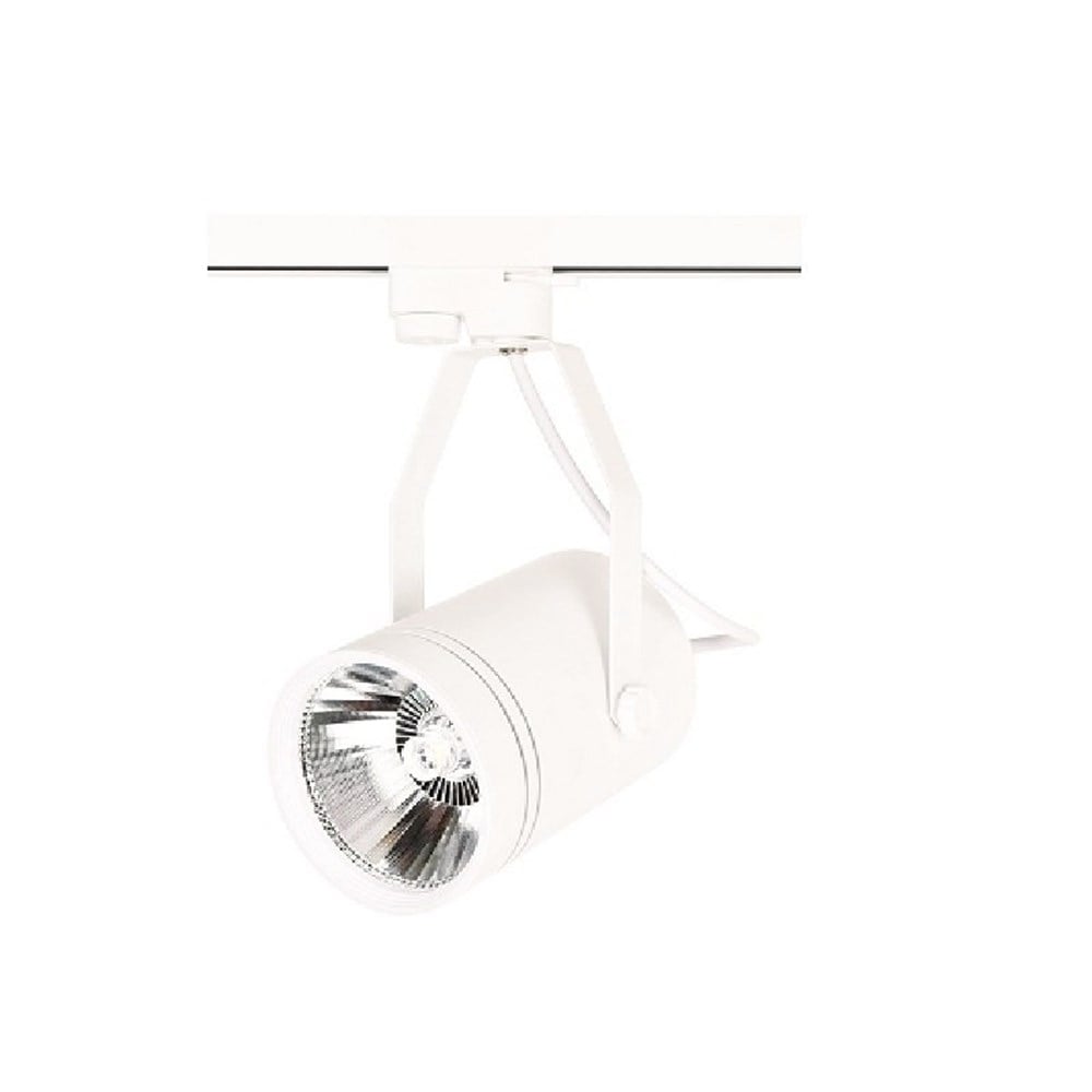 30W Led Ray Spot Armatür