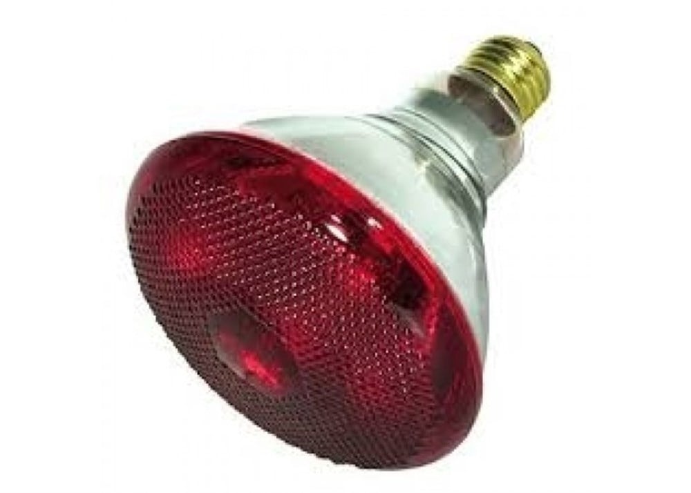 İNFRARED AMPUL PAR38 175W ŞAVKFizik Tedavi Ampullerimyd768İNFRARED AMPUL PAR38 175W ŞAVK
