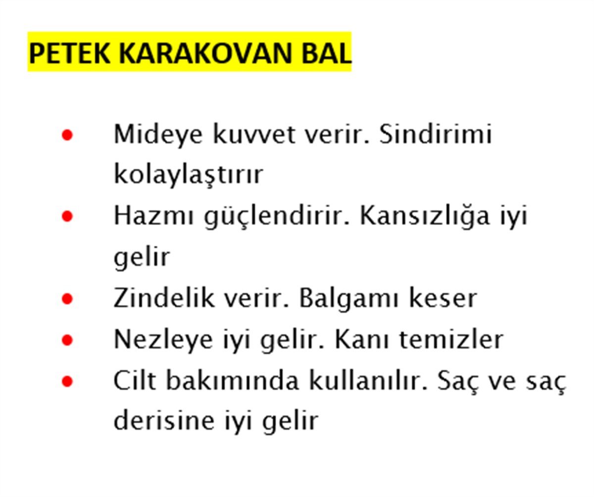 Petek Bal 888 gr (Karakovan)
