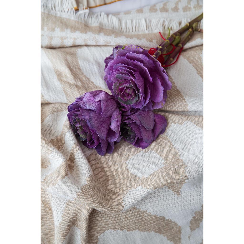 Apricitas Home Zest Çift Kişilik Pamuk Yatak Örtülü Set - Bej