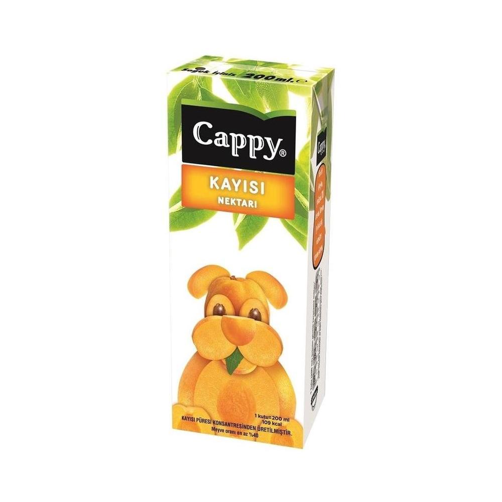 CAPPY M.SUYU KAYISI NEKTARI 200 ML