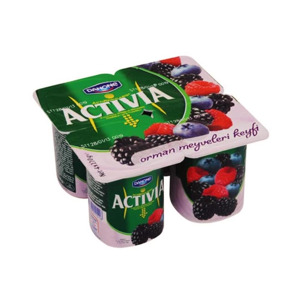 DANONE ACTIVIA ORMAN MEYVELI 4x100 GR