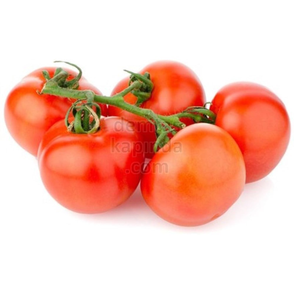 DOMATES SALKIM