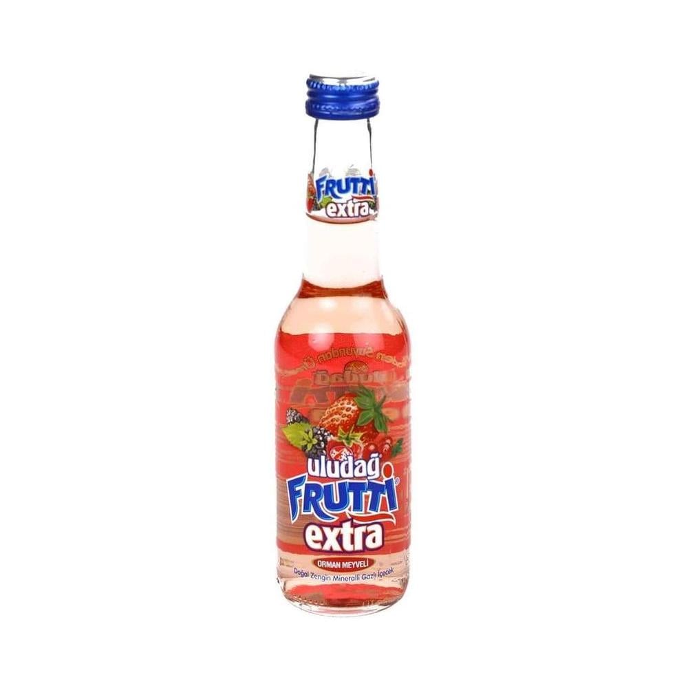 FRUTTI EXTRA ORMAN MEYVELI 250 ML