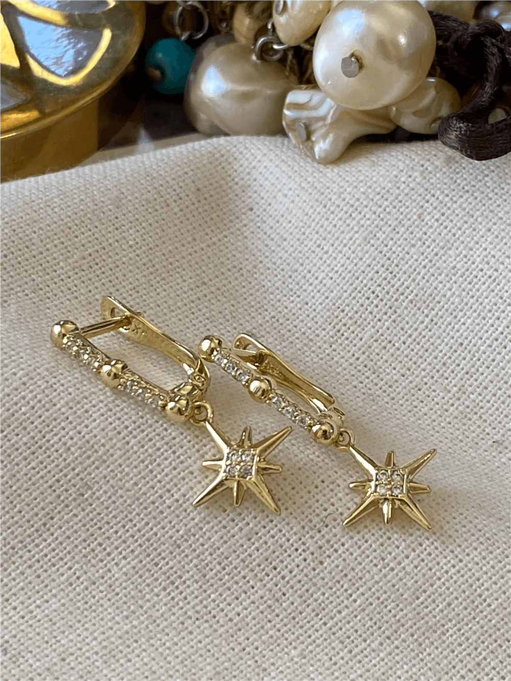 VIP 14K Taşlı Kuzeyyıldızı Sallantılı Küpe