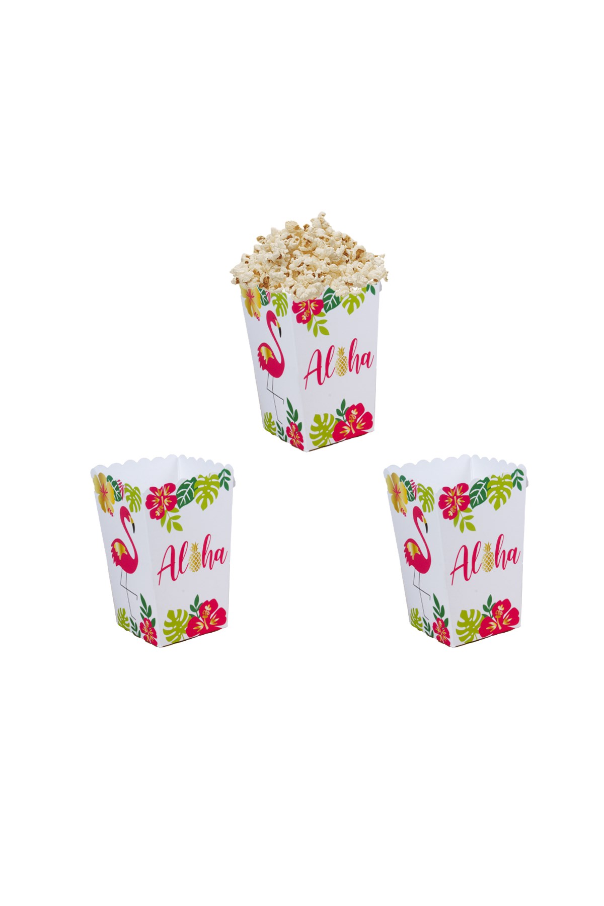 Fuşya Flamingo Temalı Mısır Kutusu 10'luPartistPSPST2176