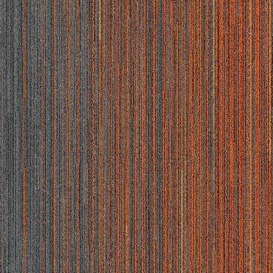 APOLLO 1B KEÇE TABAN KARO HALI