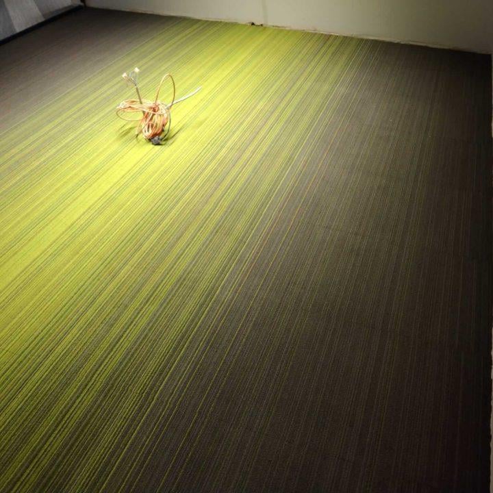 APOLLO 4C KEÇE TABAN KARO HALI