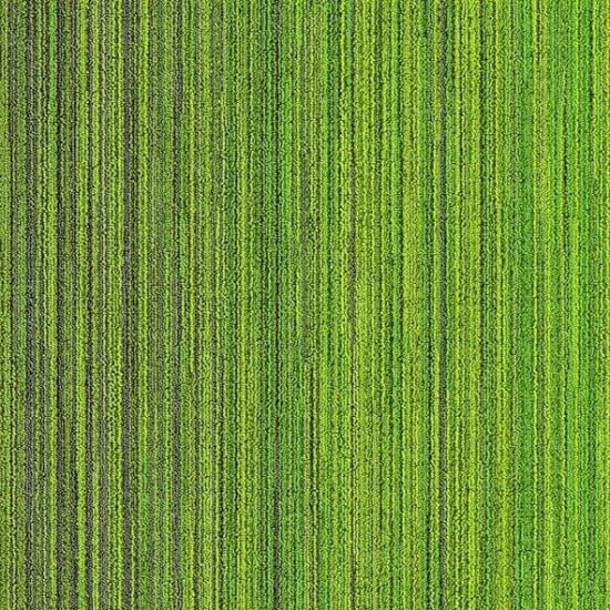 APOLLO 4C KEÇE TABAN KARO HALI