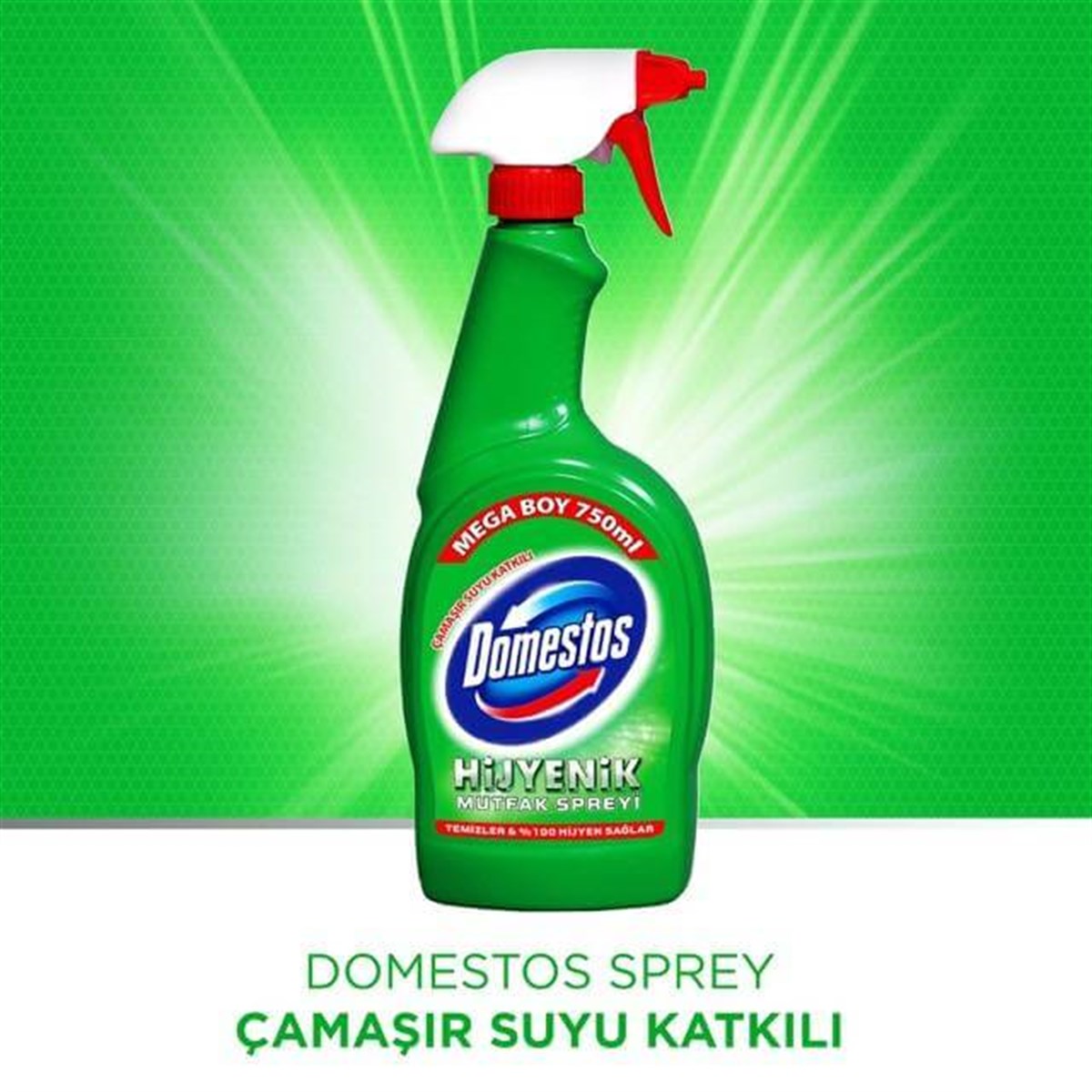 DOMESTOS 750 ML SPREY MUTFAK