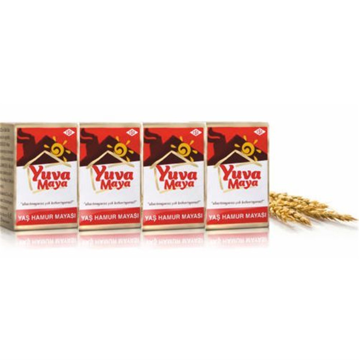 YUVA YAS HAMUR MAYASI 4 LÜ 168 GR 1*6