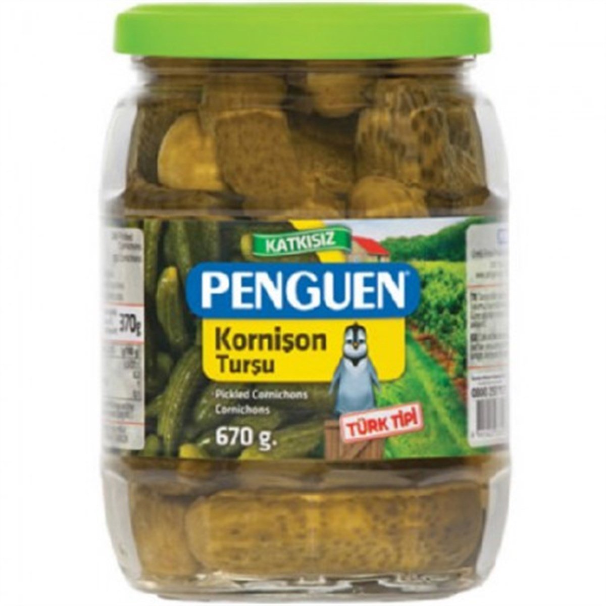 PENGUEN TURSU 670 GR SALATALIK TURSUSU 1*12