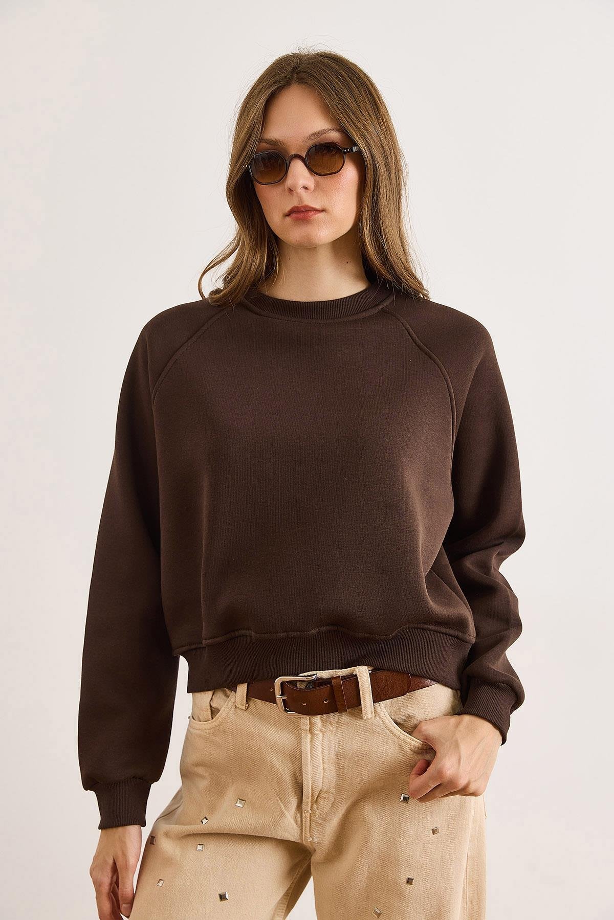 Dikiş Detaylı Reglan Kol Sweatshirt Kahverengi