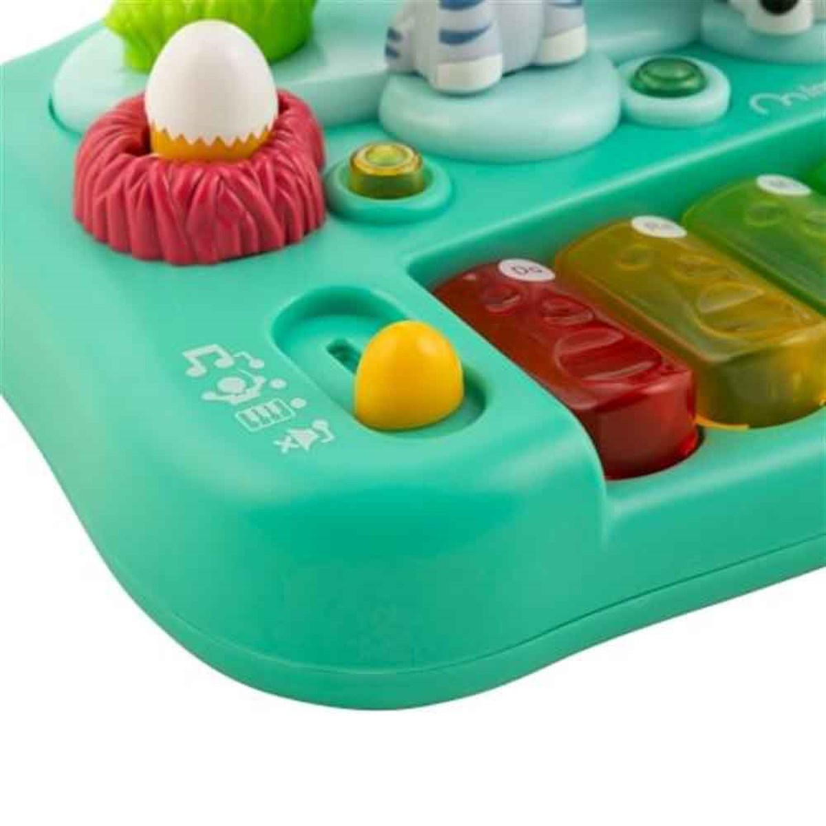 Animal Piano / Hayvanlar Pianosu